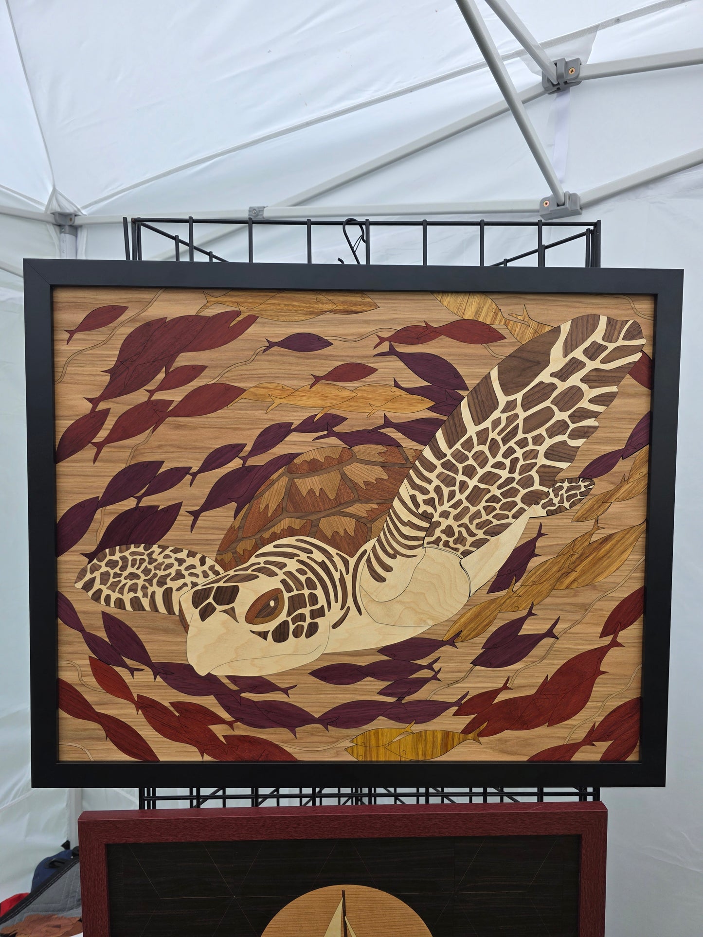 Sea Turtle